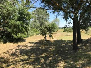Domaine de Favette - Coursan - 6