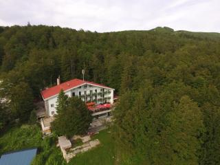 Great Mountain B&B Platak - Platak - 0