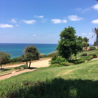 Medi Terre Boutique Hotel - By Saida Hotels - Netanja - 6