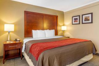 Holiday Inn Express Denver Central - North - Denver - 2