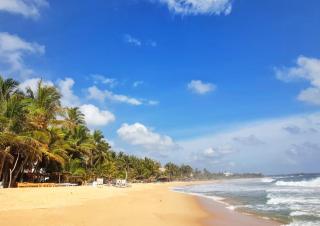 Lily Holiday Apartments - Hikkaduwa - 1