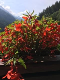 Pension Christophorus - Neustift im Stubaital - 7