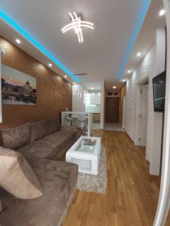 Apartman Elegance Free Garage - 3