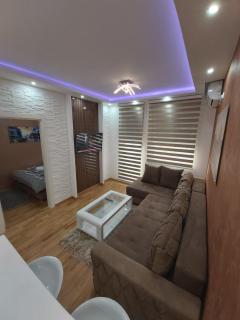 Apartman Elegance Free Garage - Novi Sad - 4