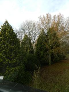 B&B Les Tchéous - La Gleize - 1