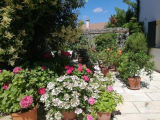 B&B LE ORTENSIE - Castagnole - 7