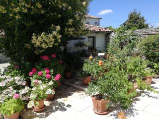 B&B LE ORTENSIE - Castagnole - 8
