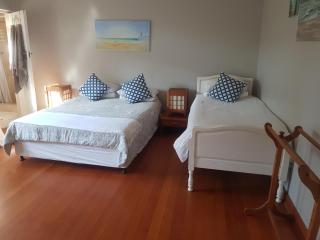 Turtle Creek - Leatherback - 3