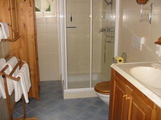 Ferienwohnung Am Pflanzgarten - Ebensee - 6