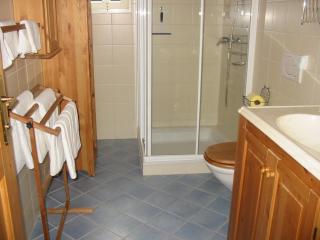 Ferienwohnung Am Pflanzgarten - Ebensee - 1