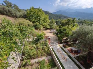 Elpida Apartment - Limenas - 7