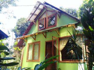 casa chilamates - Tortuguero - 4