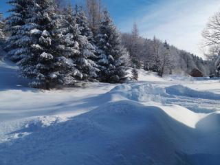 Drewniany Domek Daria i Tomek 2 domki na 8 osób - 8