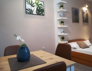Apartments Carevic Ante - Baška Voda - 7