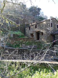 Casa de Baixo - Lousã - 0