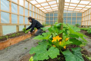 Andes Lodge, Puelo Patagonia - 6