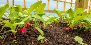 Andes Lodge, Puelo Patagonia - 9