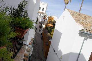 The Wall of the Alcázar Palace - Sevilla - 4