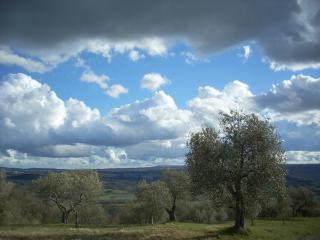 Agriturismo Le Roghete - Acquapendente - 3