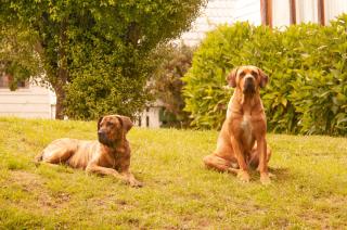 Hotel Casa de la Oma - 1