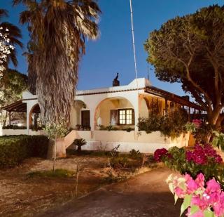 Vravrona Family House - Artemida - 6