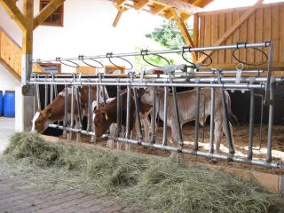 Jakobsbauernhof - Freiamt - 1