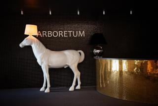 Arboretum Hotel - 4