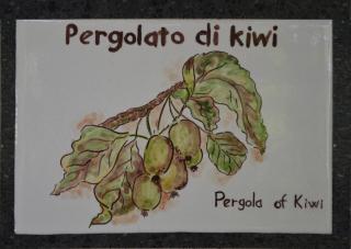 Agriturismo Etna-Mare - 9