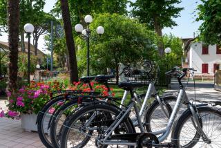 Hotel Verde Luna - Cervia - 9