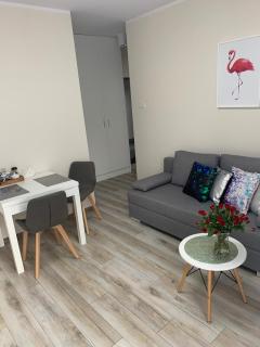 Apartament Walczaka 11 MIEJSCE PARKINGOWE - Gorzów Wielkopolski - 7