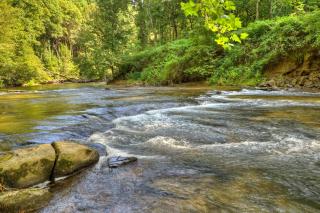 Creektopia - Blue Ridge - 9