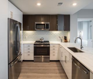 Bluebird Suites Near Chevy Chase - Bethesda - 8