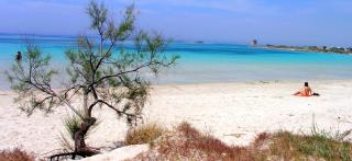 Appartamenti FRANCIS sul mare - 2