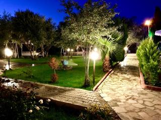 Nature Hotel Doğa Hotel Ölüdeniz - Fethiye - 6