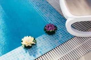 Apartment Gina - Trogir - 5