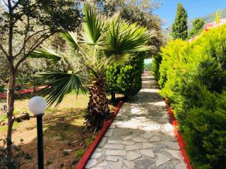 Nature Hotel Doğa Hotel Ölüdeniz - Fethiye - 4