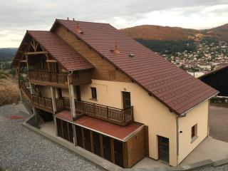 Les balcons de la haie griselle - Gérardmer - 0