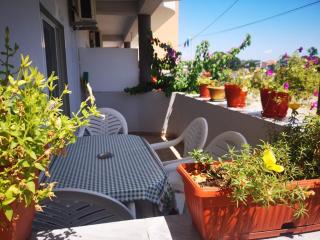Apartments Daris - 4