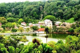Medhani - Kandy - 5