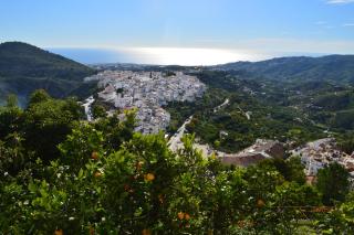 The Picture House - Frigiliana - 7