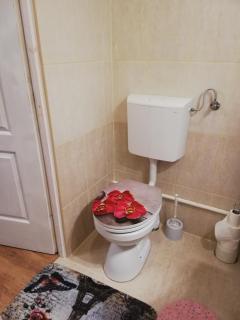 Örökzöld Apartman Szeged - Szeged - 8
