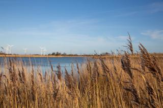 Dänisches Blockhaus direkt am Wangermeer - Wangerland - 8