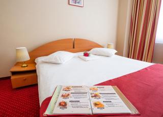 Hotel Dana - Satu Mare - 8