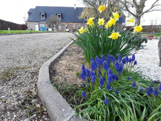 La Cle de Saule - Saint-Maclou-de-Folleville - 3