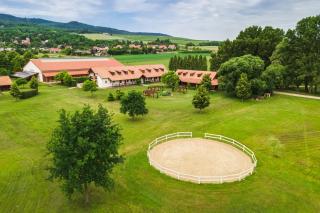 Matild Country Hotel - Nemesvita - 5