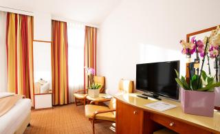 Hotel Dana 2 - Satu Mare - 7
