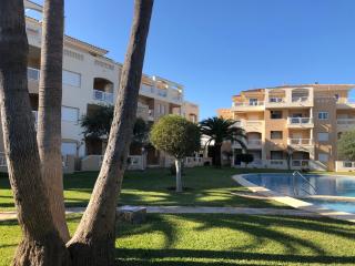 Hort 1-Serviden - Dénia - 5