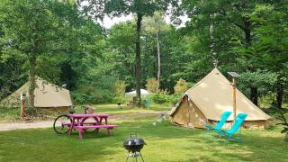 Camping Bois de St Hilaire - Chalandray - 3