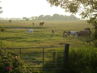 Margarethenhof - Tetenbüll - 4
