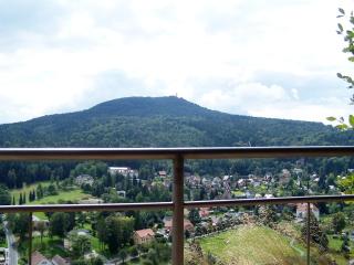 Ferienhaus am Kaltenstein - Olbersdorf - 3